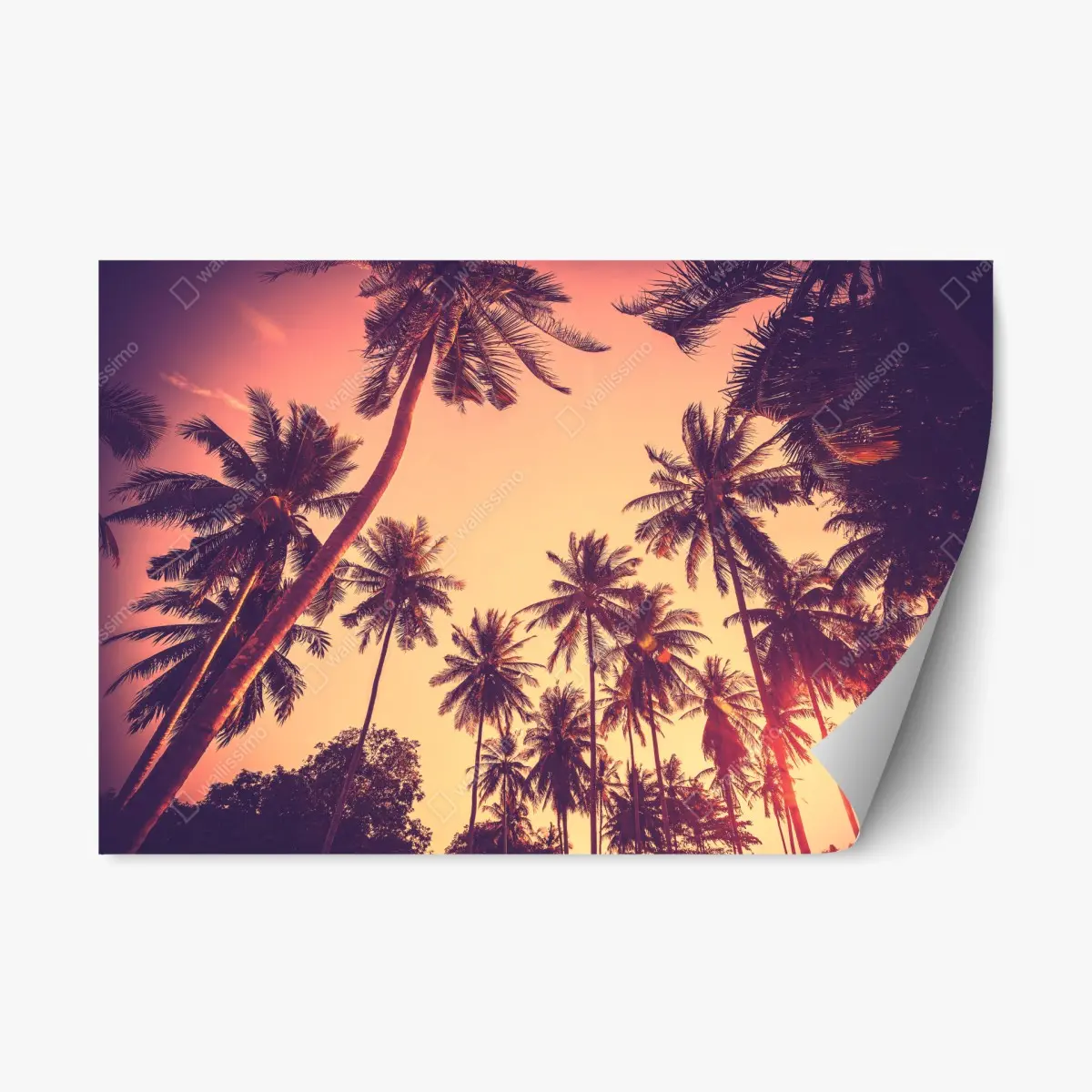 Repositionierbarer Aufkleber vintage tropischer sonnenuntergang mit palmen – Pixers®