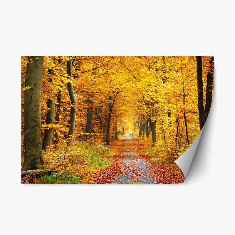 Repositionierbarer Aufkleber goldener herbstwald pfad