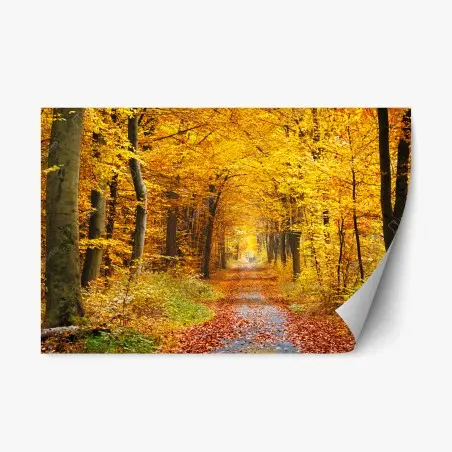 Repositionierbarer Aufkleber goldener herbstwald pfad – Pixers®