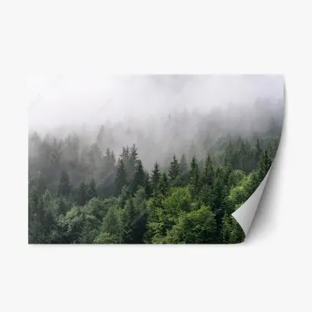 Repositionierbarer Aufkleber nebliger immergrüner wald panorama – Pixers®