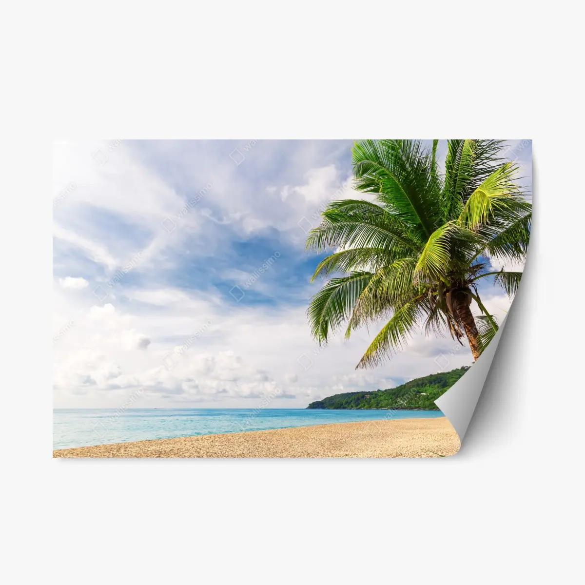 Repositionierbarer Aufkleber tropischer strand in Phuket mit palme – Pixers®