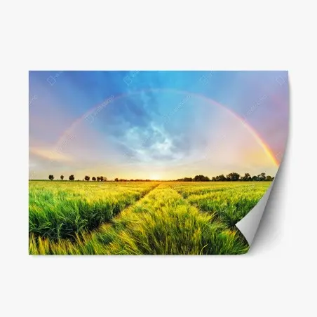 Repositionierbarer Aufkleber regenbogen über goldenem weizenfeld bei sonnenuntergang – Pixers®