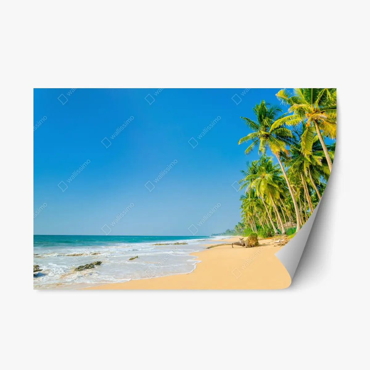 Repositionierbarer Aufkleber tropischer palmenstrand – Pixers®