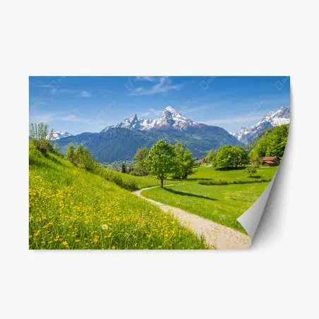 Repositionierbarer Aufkleber alpine frühlingswiese mit schneebedeckten gipfeln – Pixers®