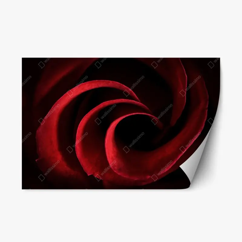 Repositionierbarer Aufkleber spirale aus tiefroten rosenblättern