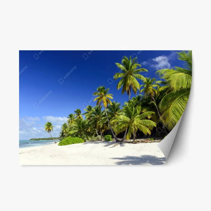 Repositionierbarer Aufkleber ruhiger tropischer strand in Punta Cana