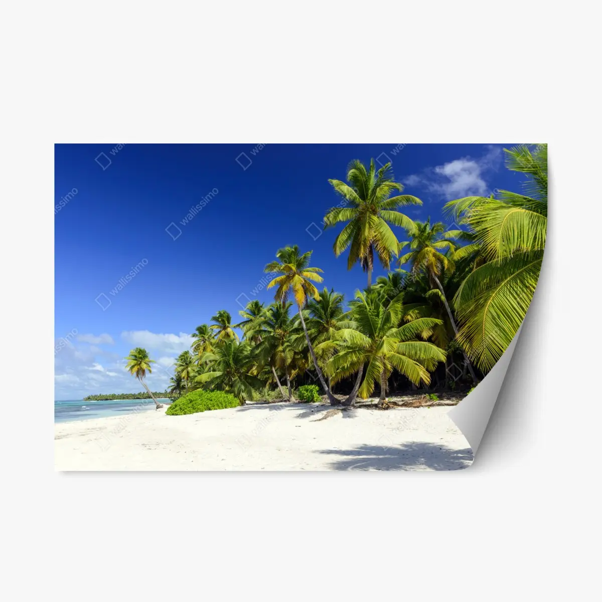 Repositionierbarer Aufkleber ruhiger tropischer strand in Punta Cana – Pixers®