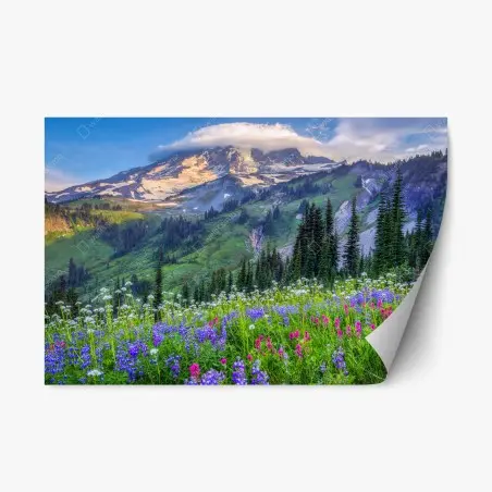 Repositionierbarer Aufkleber alpine blumenwiese vor schneebedeckten bergen – Pixers®