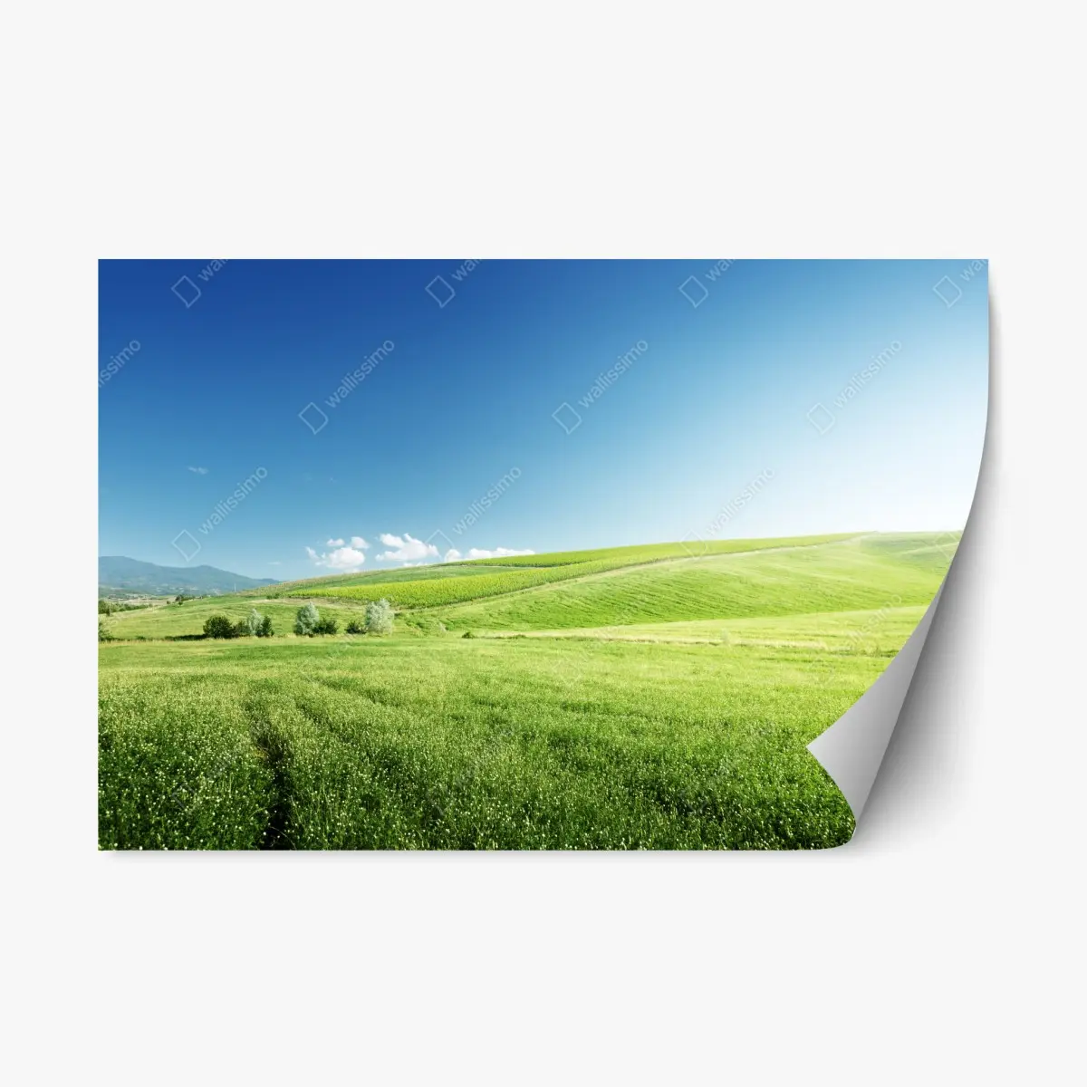 Repositionierbarer Aufkleber ruhige grüne wiesenlandschaft – Pixers®