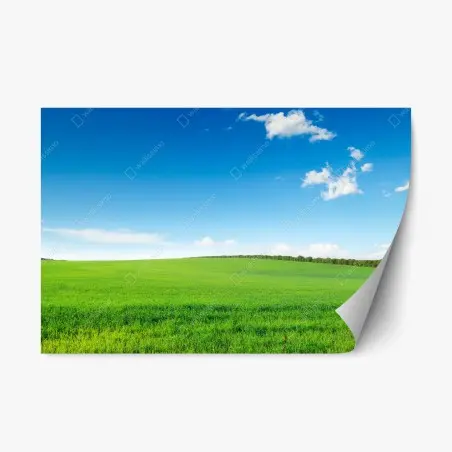Repositionierbarer Aufkleber ruhige grüne wiese unter blauem himmel – Pixers®