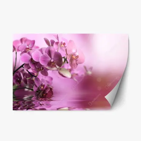 Repositionierbarer Aufkleber rosa orchideen spiegelung – Pixers®