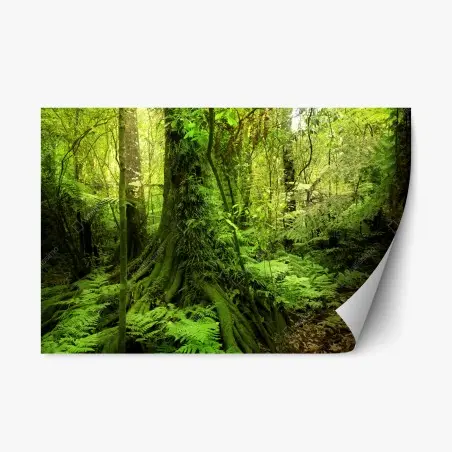 Repositionierbarer Aufkleber üppiger tropischer dschungel – Pixers®
