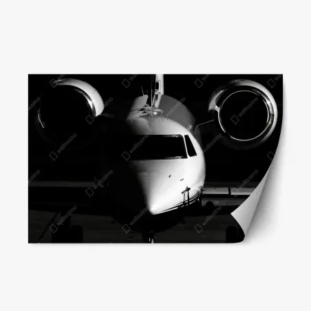 Repositionierbarer Aufkleber monochrome frontalansicht eines privatjets – Pixers®