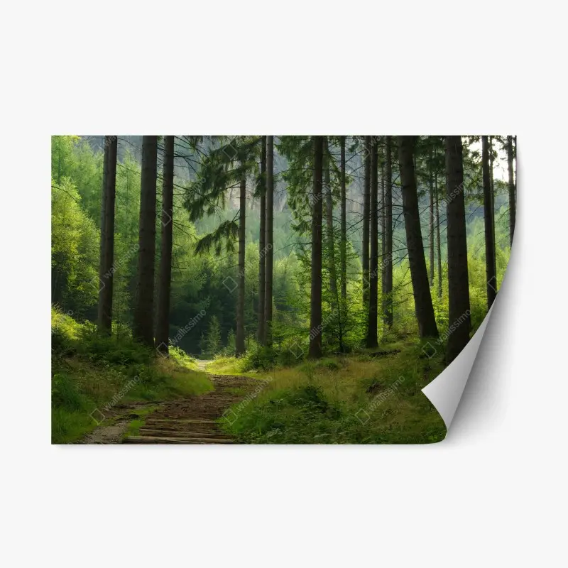 Repositionierbarer Aufkleber ruhiger waldpfad