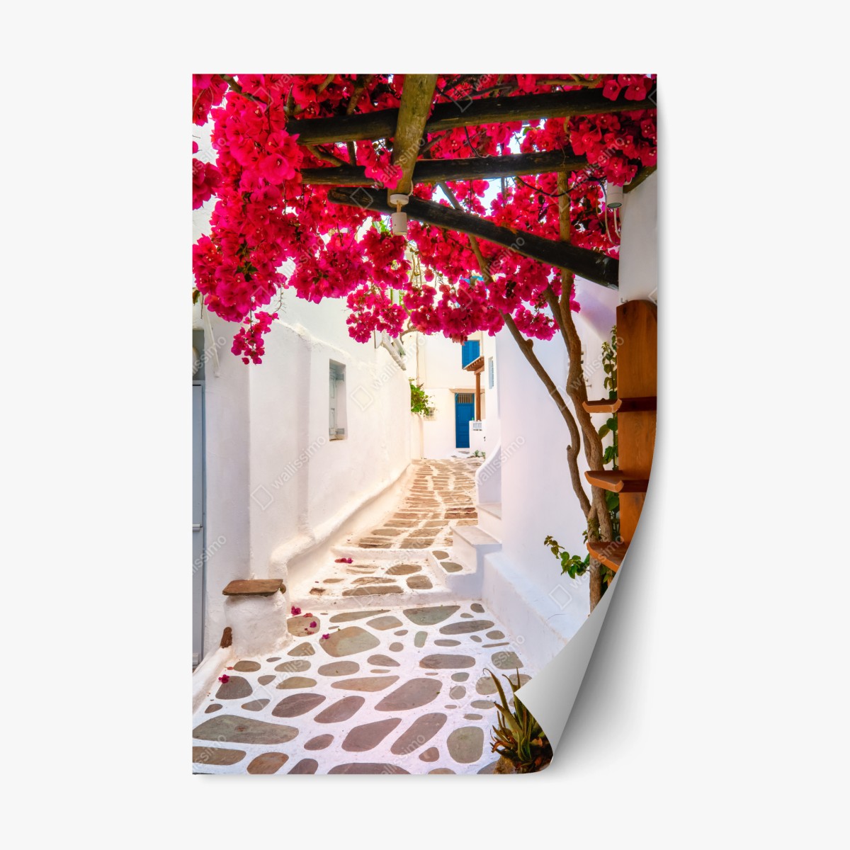 Repositionierbarer Aufkleber sonnige gasse in Griechenland mit bougainvillea – Pixers®