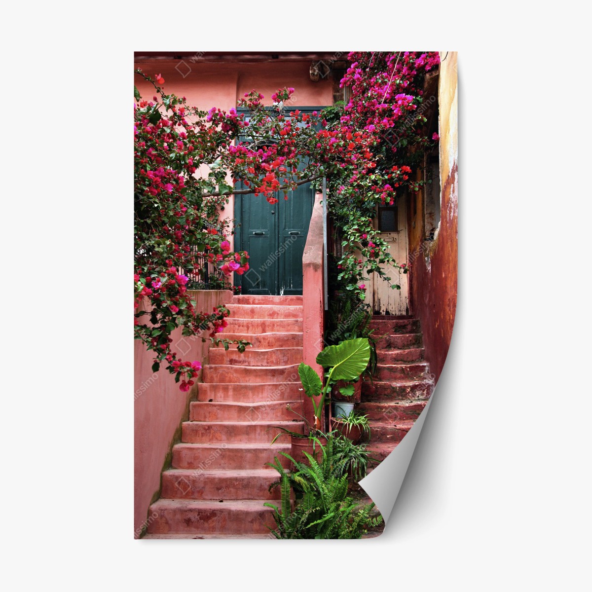 Repositionierbarer Aufkleber treppe mit bougainvillea und grünen pflanzen – Pixers®