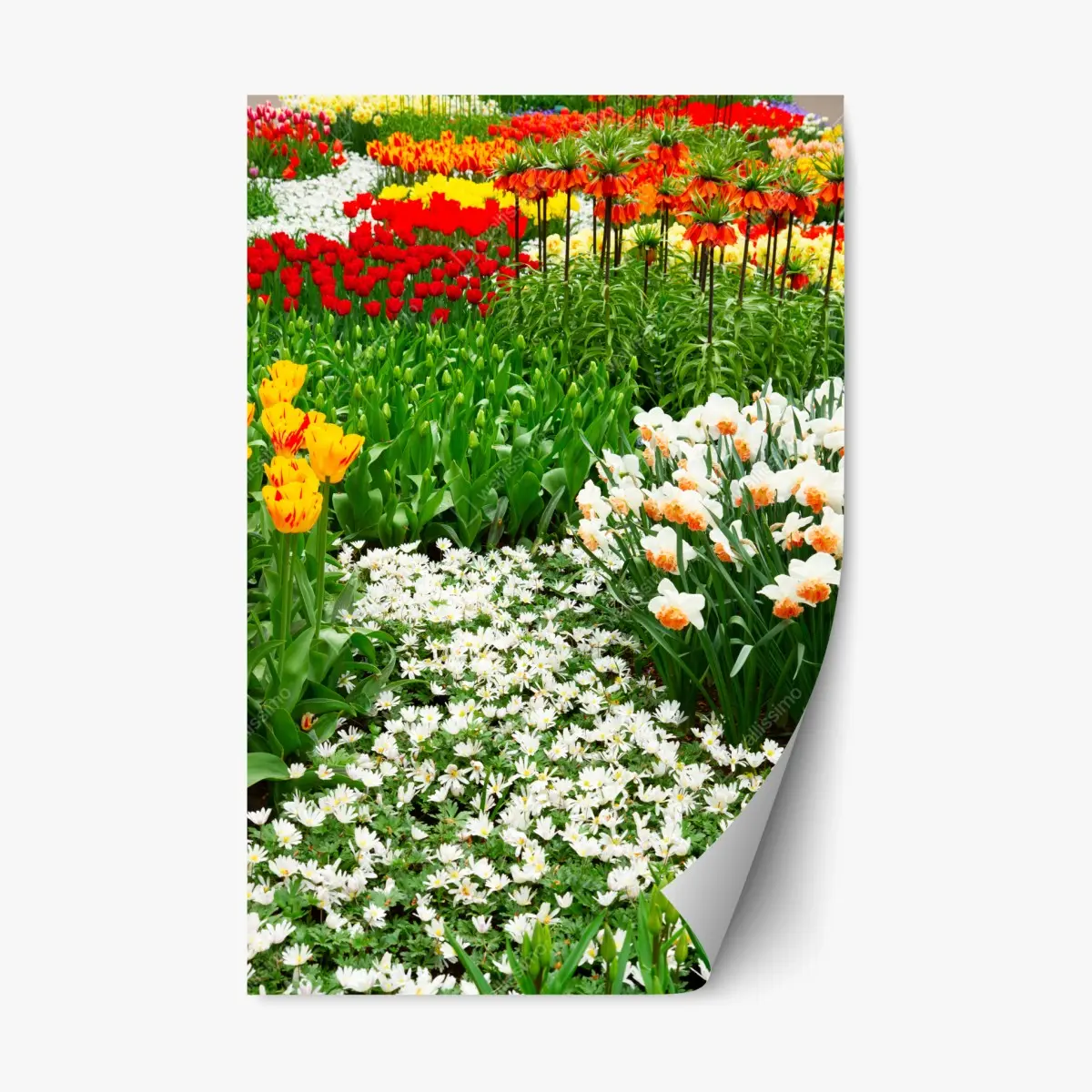 Repositionierbarer Aufkleber lebendiger frühlingsblumengarten – Pixers®