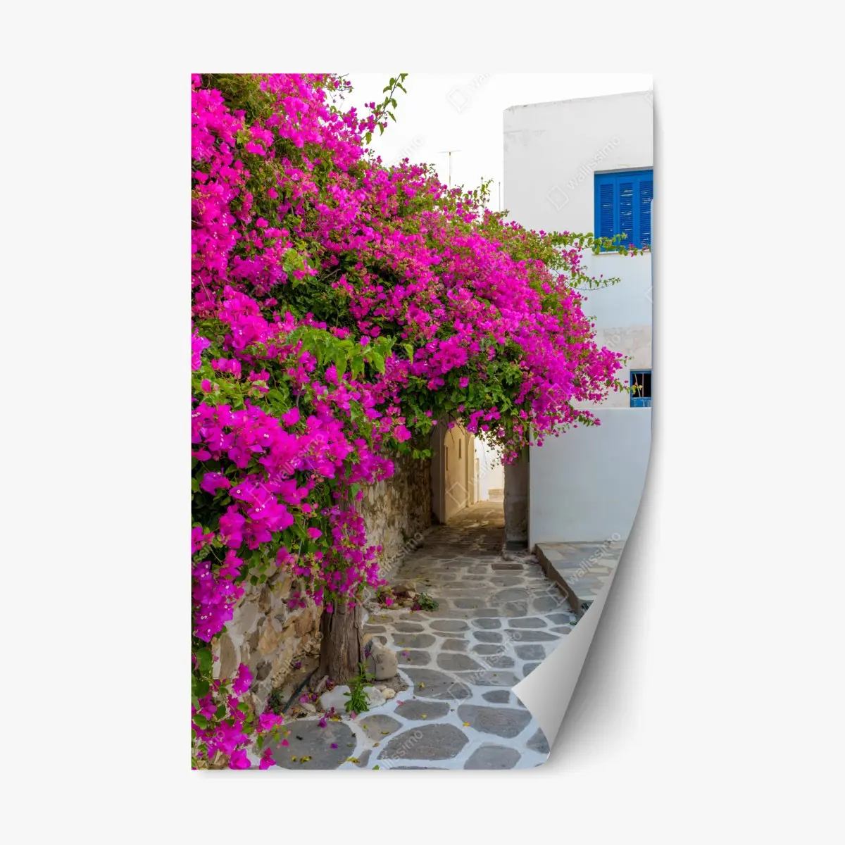 Repositionierbarer Aufkleber blühende bougainvillea in Naousa gasse – Pixers®