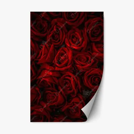 Repositionierbarer Aufkleber intensive rote rosen nahaufnahme – Pixers®