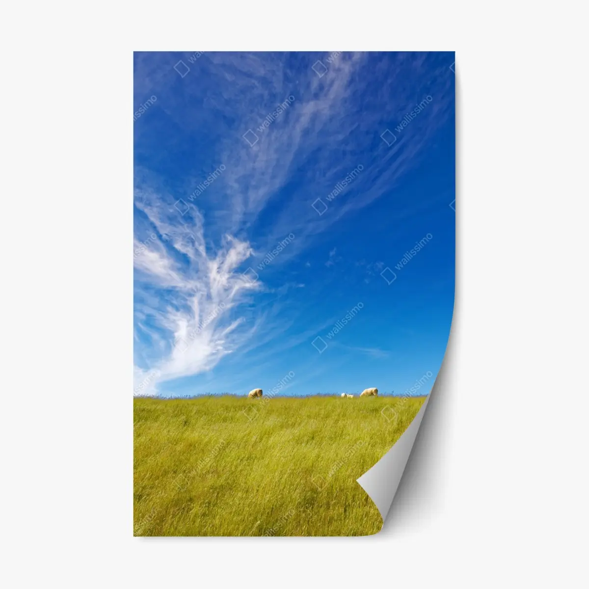 Repositionierbarer Aufkleber ruhige wiese unter blauem himmel – Pixers®