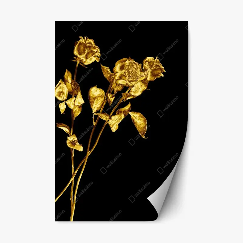 Repositionierbarer Aufkleber goldene rosen vor schwarzem hintergrund