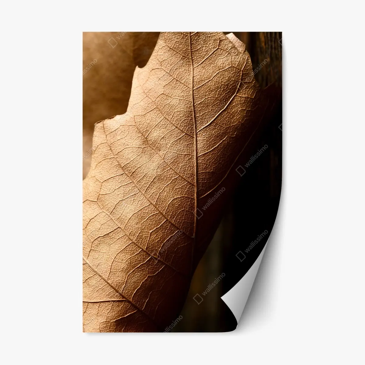 Repositionierbarer Aufkleber strukturiertes trockenes blatt nahaufnahme – Pixers®