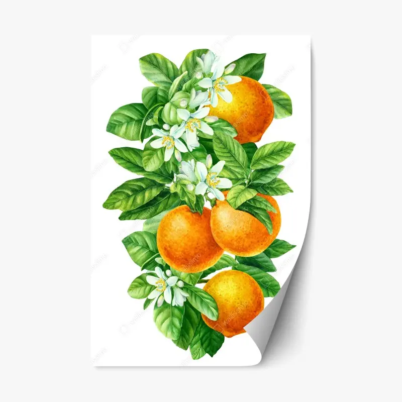 Repositionierbarer Aufkleber zitrusblüten und reife orangen
