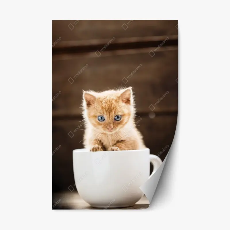 Repositionierbarer Aufkleber rötliches kätzchen in einer teetasse