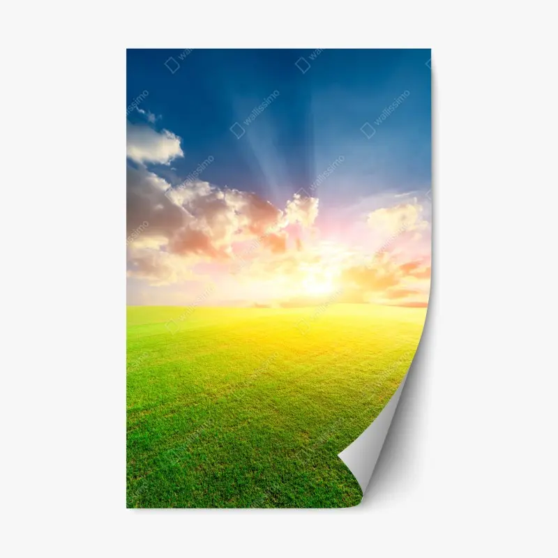 Repositionierbarer Aufkleber sonnenbeschienene wiese bei sonnenuntergang