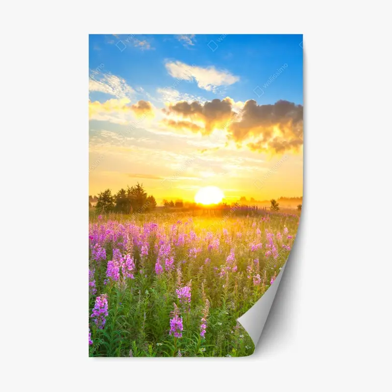 Repositionierbarer Aufkleber sonnenaufgang über violetter wildblumenwiese