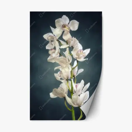 Repositionierbarer Aufkleber zarte weiße orchideen vor gedämpftem hintergrund – Pixers®