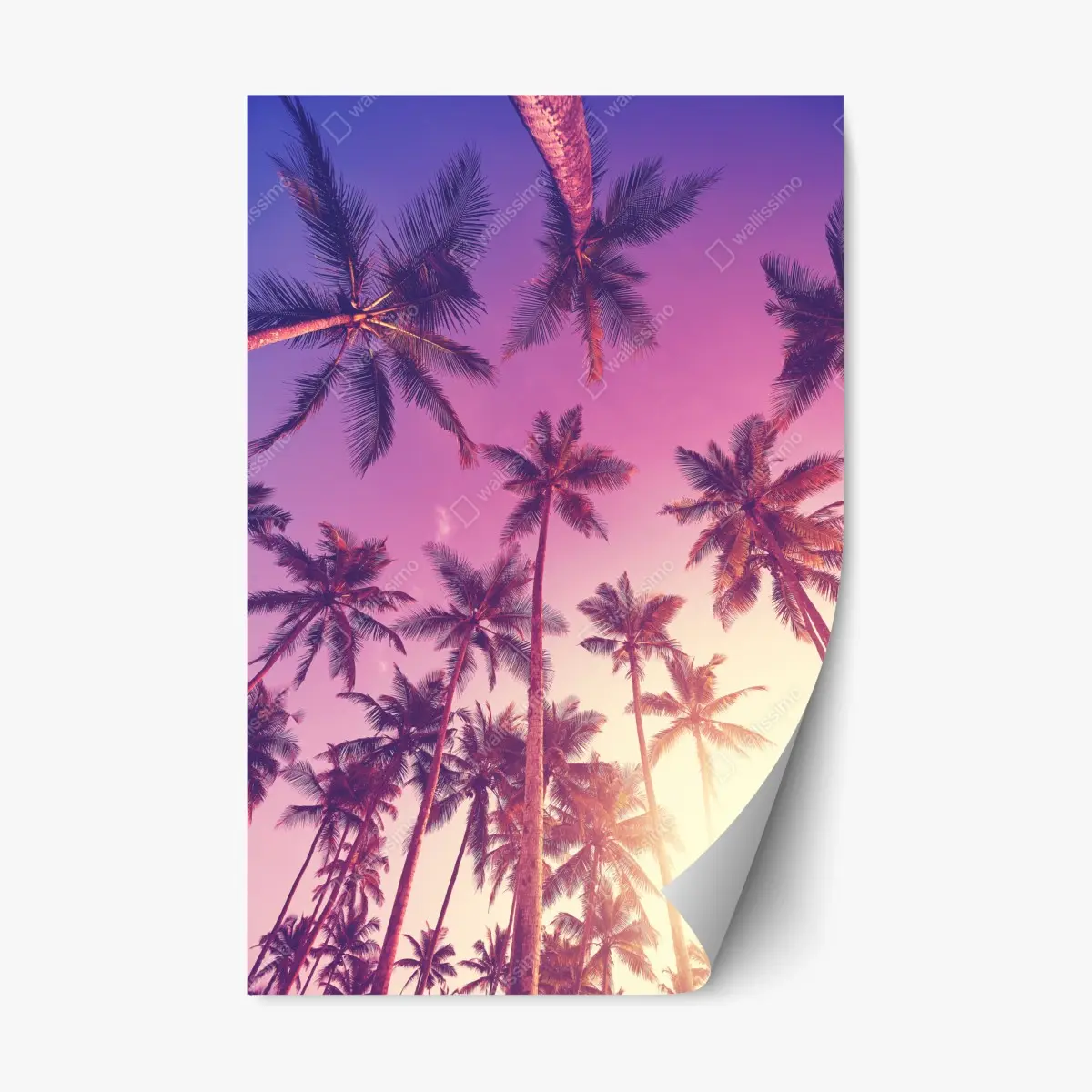 Repositionierbarer Aufkleber tropische palmen beim sonnenuntergang – Pixers®