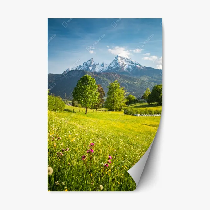 Repositionierbarer Aufkleber alpine frühlingswiese unter schneebedeckten gipfeln