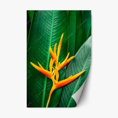 Repositionierbarer Aufkleber leuchtende heliconia vor grünen blättern – Pixers®