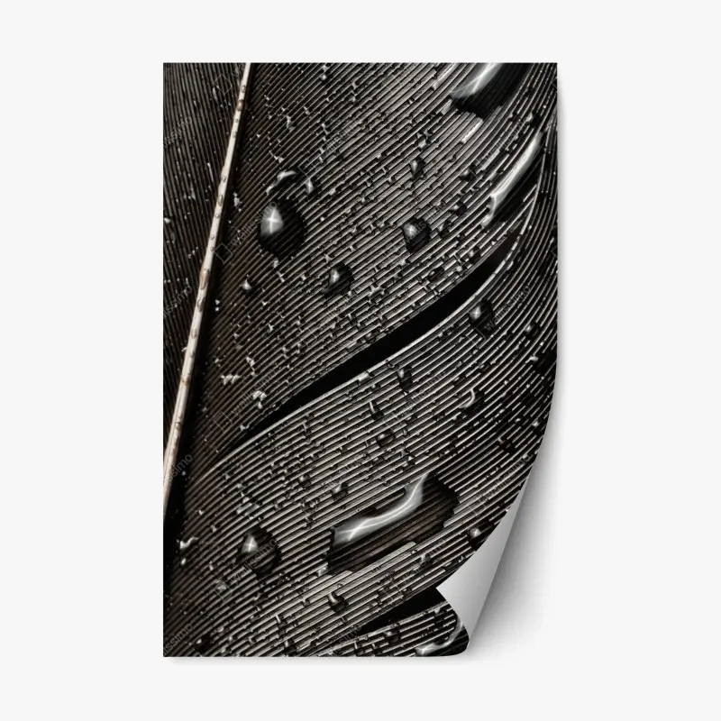 Repositionierbarer Aufkleber monochrome feder mit wassertropfen