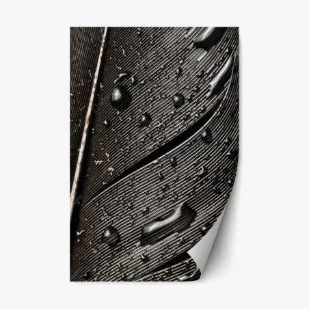 Repositionierbarer Aufkleber monochrome feder mit wassertropfen – Pixers®