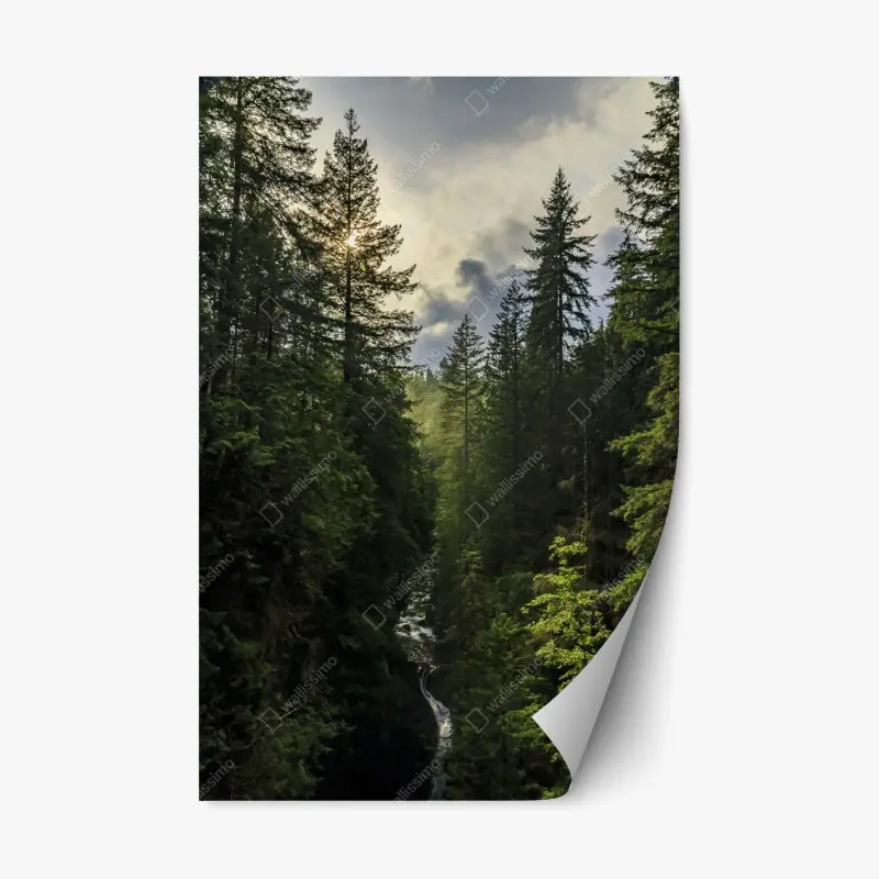 Repositionierbarer Aufkleber nebliger immergrüner wald mit wasserfall