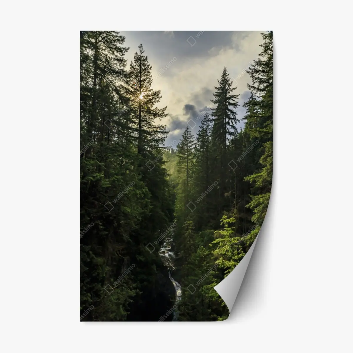 Repositionierbarer Aufkleber nebliger immergrüner wald mit wasserfall – Pixers®