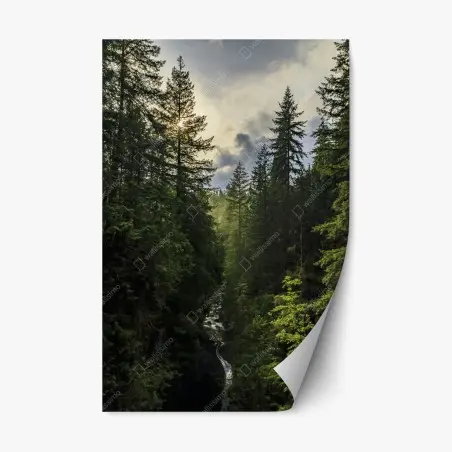 Repositionierbarer Aufkleber nebliger immergrüner wald mit wasserfall – Pixers®