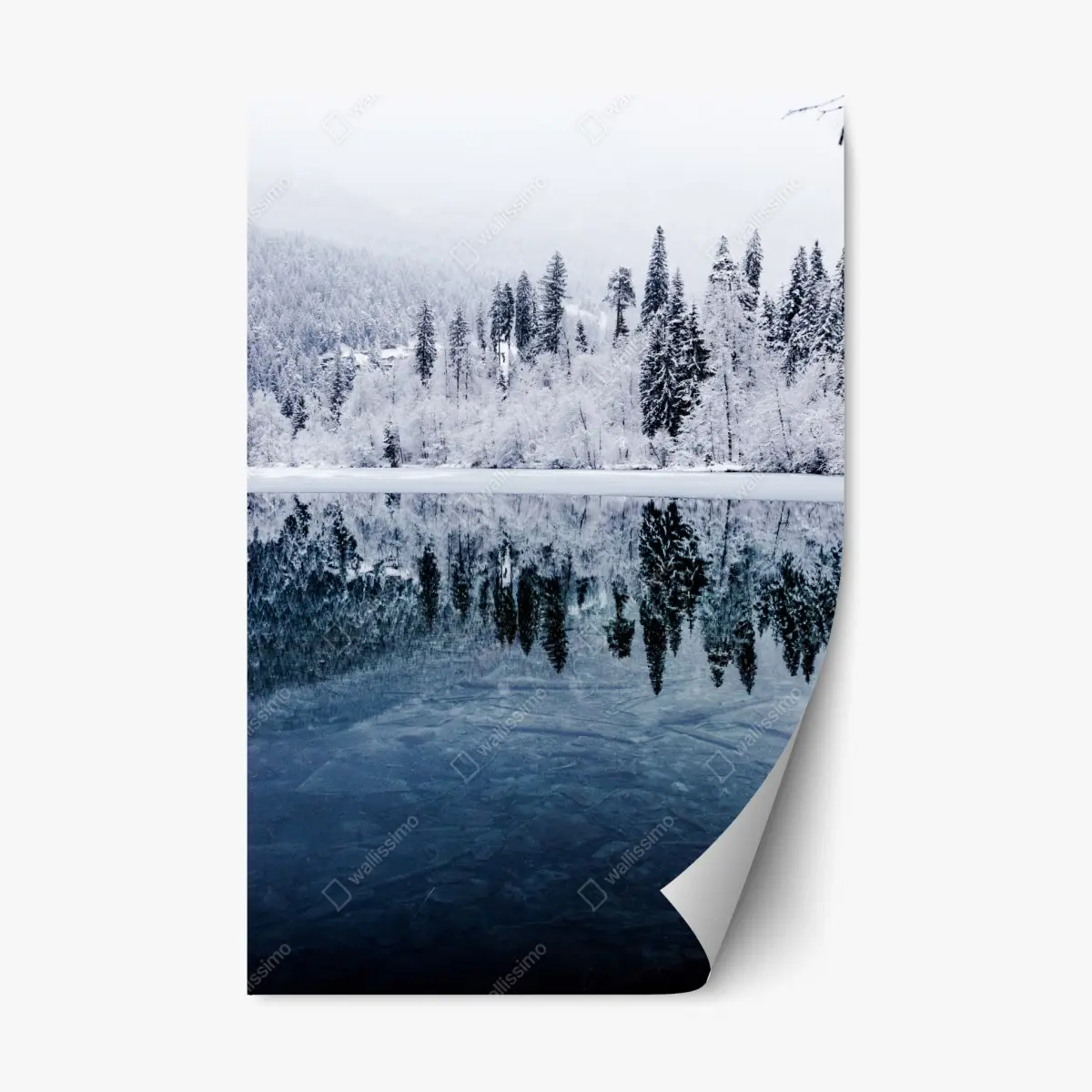 Repositionierbarer Aufkleber winterlicher see mit spiegelung im verschneiten wald – Pixers®