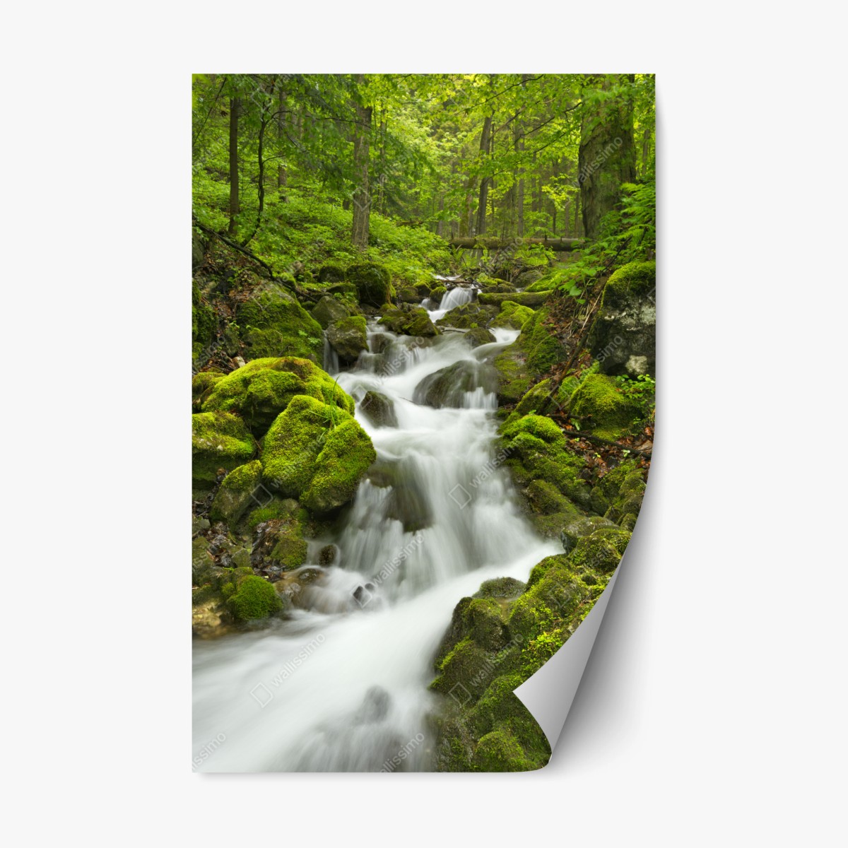 Repositionierbarer Aufkleber moosiger wasserfall – Pixers®
