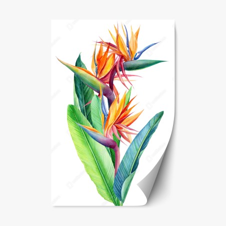 Repositionierbarer Aufkleber farbenfrohe strelitzie aquarell botanisches bild – Pixers®