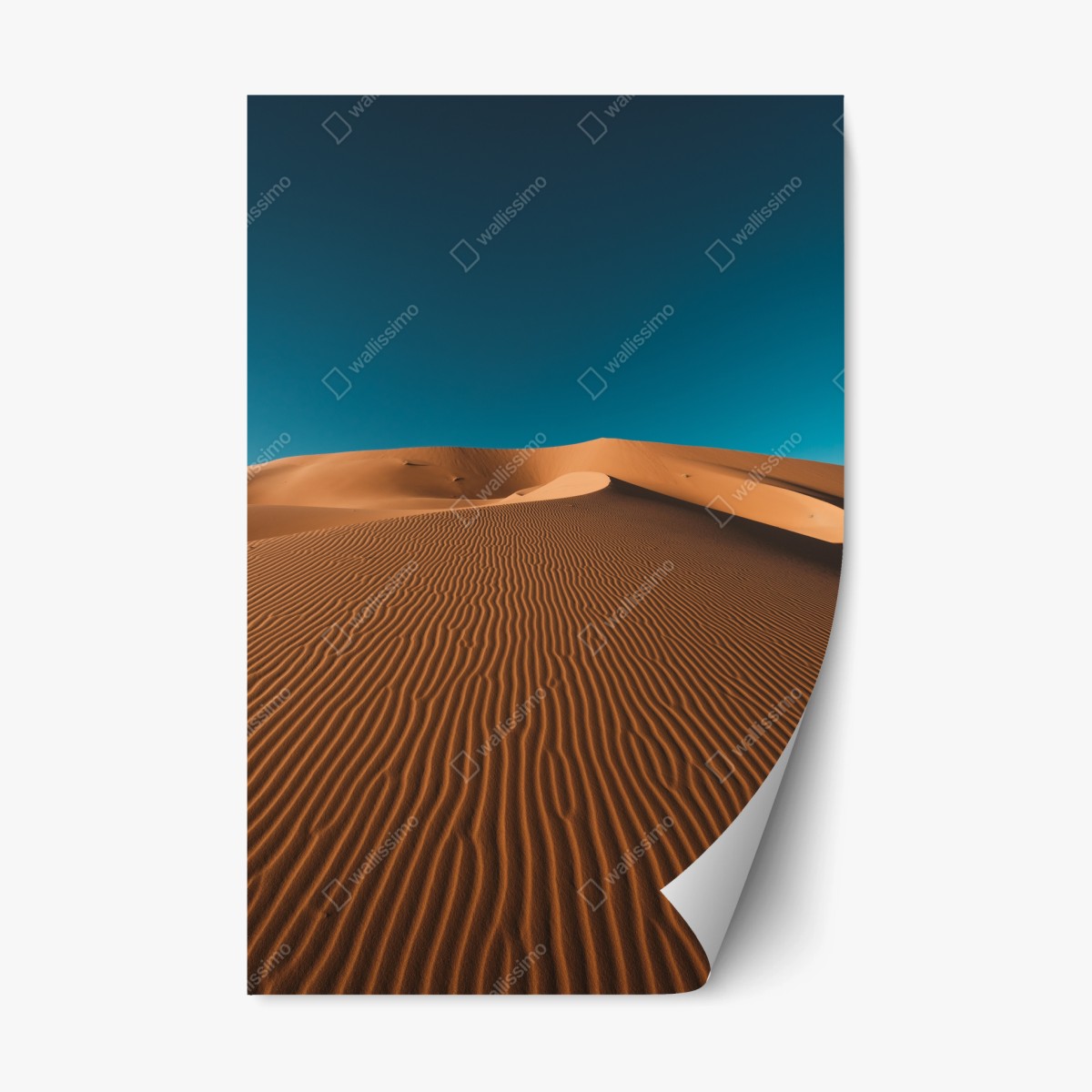Repositionierbarer Aufkleber goldene sanddünen unter tiefblauem himmel – Pixers®