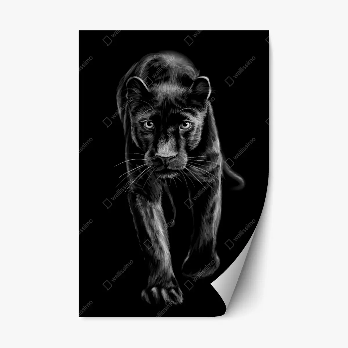 Repositionierbarer Aufkleber schreitender schwarzer panther illustration – Pixers®