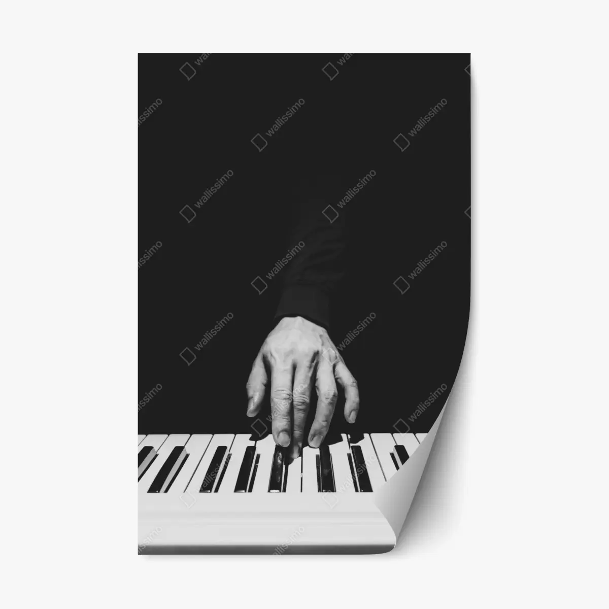 Repositionierbarer Aufkleber monochromes nahaufnahme einer hand am klavier – Pixers®