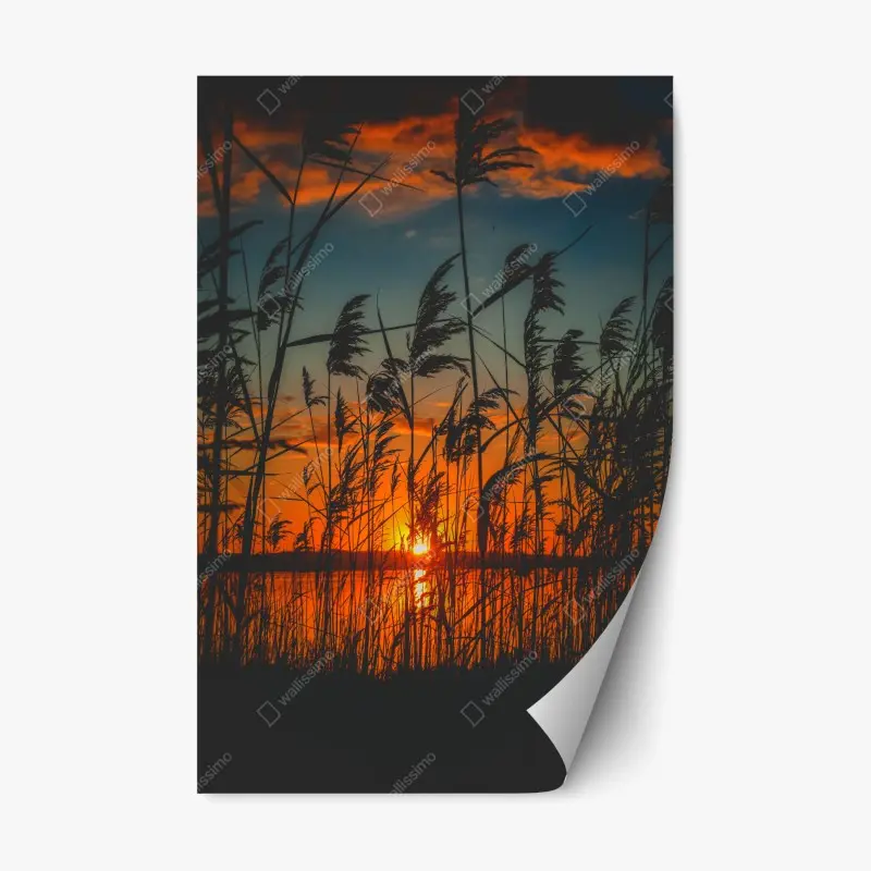 Repositionierbarer Aufkleber sonnenuntergang am see mit schilf-silhouette