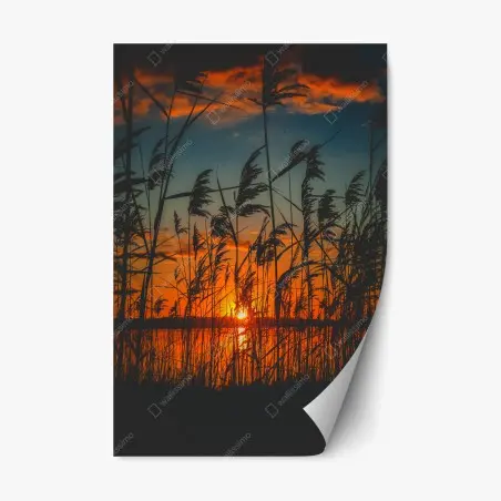 Repositionierbarer Aufkleber sonnenuntergang am see mit schilf-silhouette – Pixers®