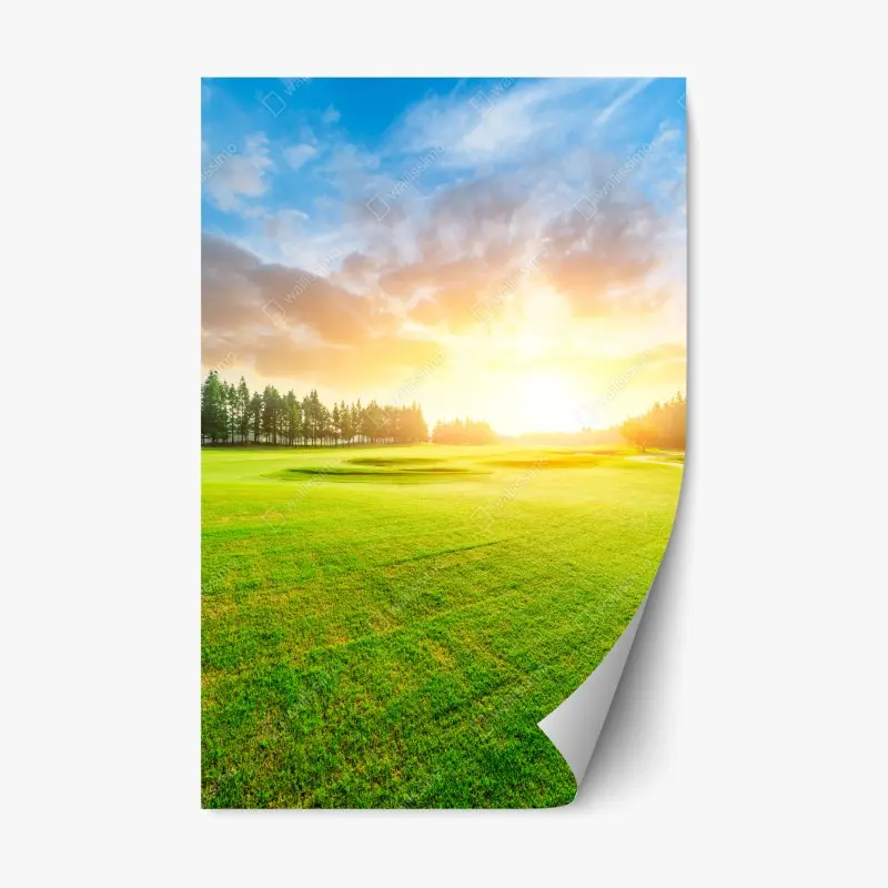 Repositionierbarer Aufkleber sonnenbeschienene wiese und wald bei sonnenaufgang