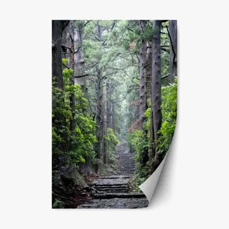 Repositionierbarer Aufkleber mystischer waldweg zwischen alten bäumen – Pixers®