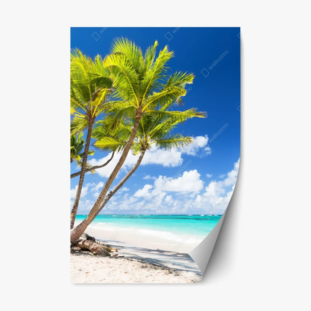 Repositionierbarer Aufkleber tropischer palmstrand in Punta Cana – Pixers®